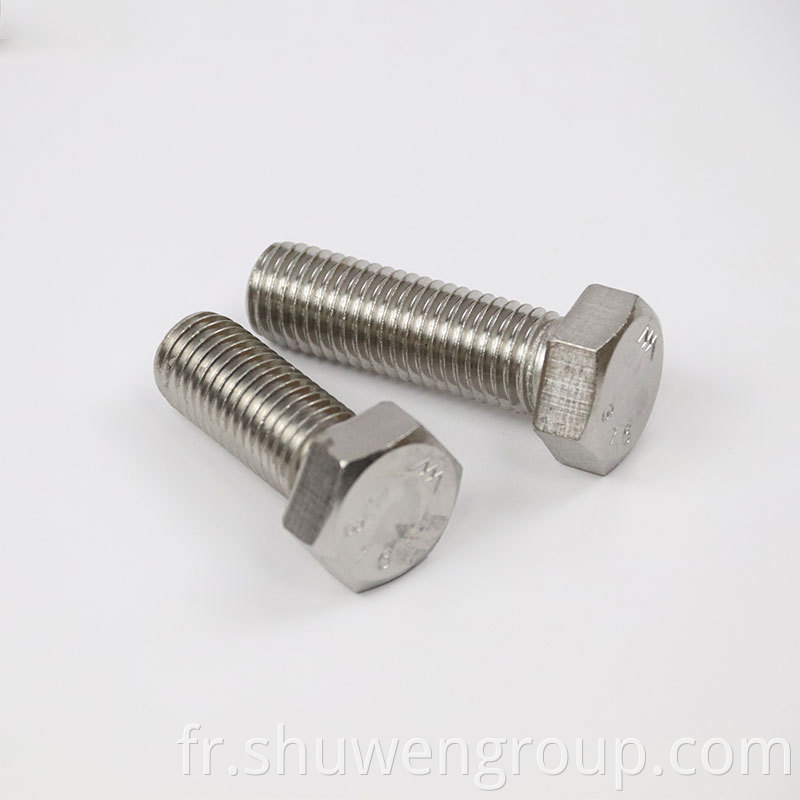 Stainless Steel Hex Bolt 8 3